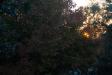 Landscape2_091