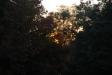 Landscape2_092