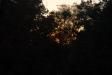 Landscape2_093