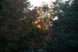 Landscape2_094