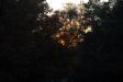 Landscape2_095