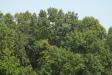 Landscape2_099