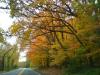 Landscape3_002
