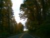 Landscape3_004