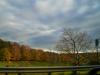 Landscape3_008
