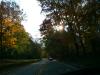 Landscape3_010