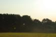 Landscapes001