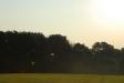 Landscapes004