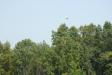 Rebels_20060909_174