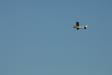 Rebels_20060910_3_037