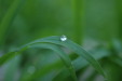 Nature in balance
