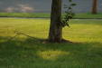 2005-07-12_19-06-02