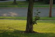 2005-07-12_19-06-03