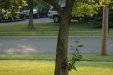 2005-07-12_19-06-04