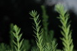 2005-07-12_20-28-58