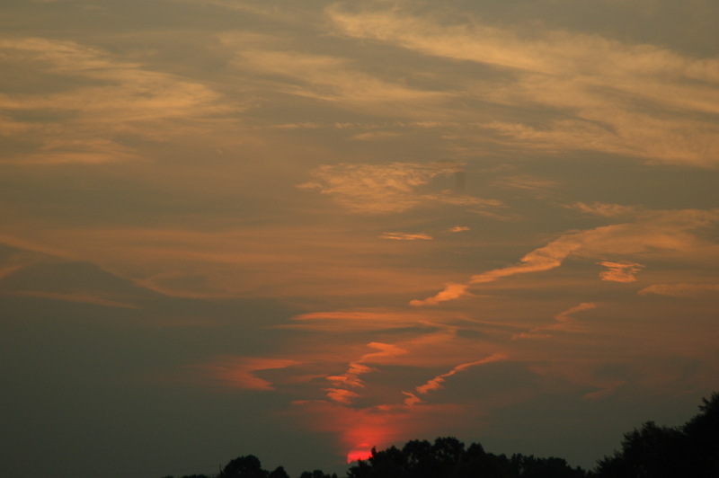 2005-07-12_20-15-14