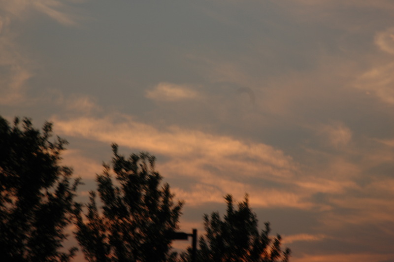 2005-07-12_20-20-19