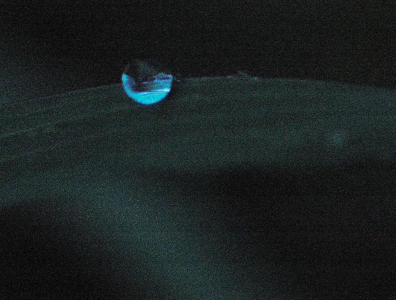 dark_world