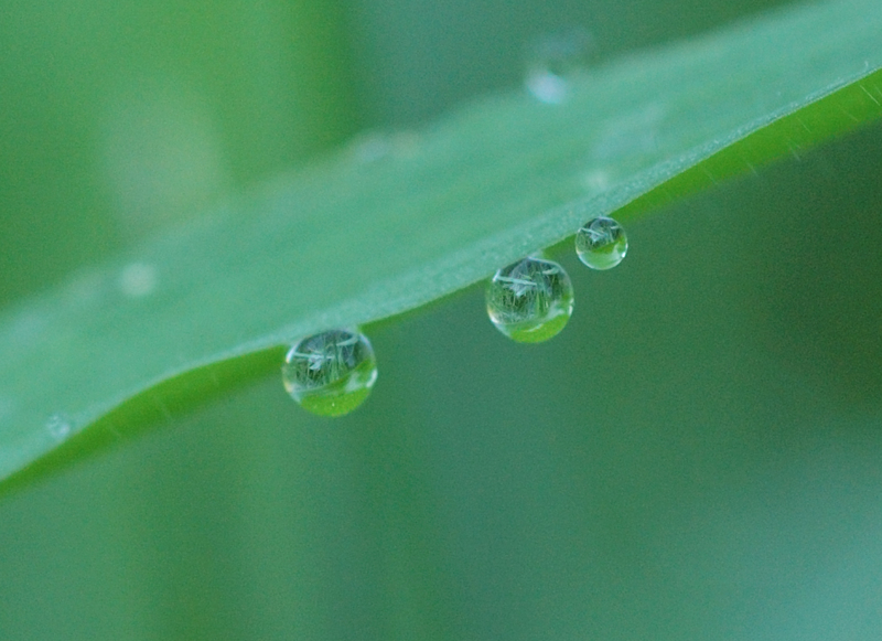 in_detail
