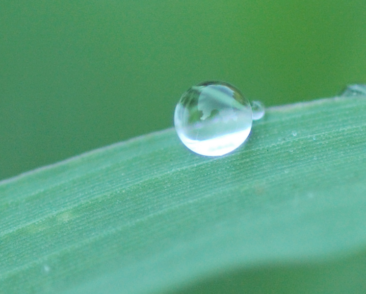 me_and_my_camera_in_a_drop