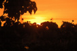 sunset_from_library
