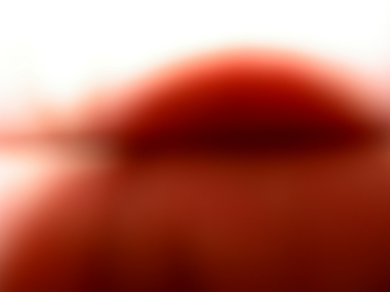 2005-08-18_16-15-520005