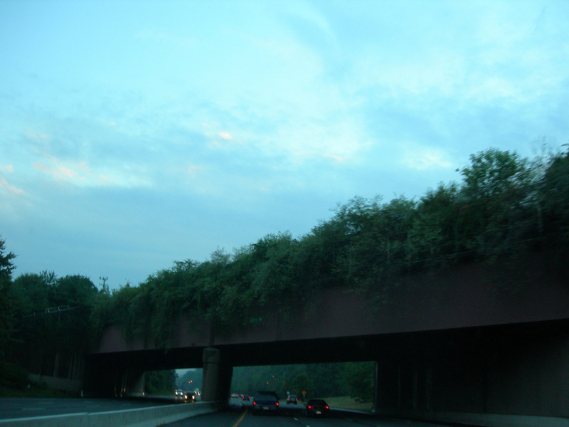 2005-08-19_19-41-410012