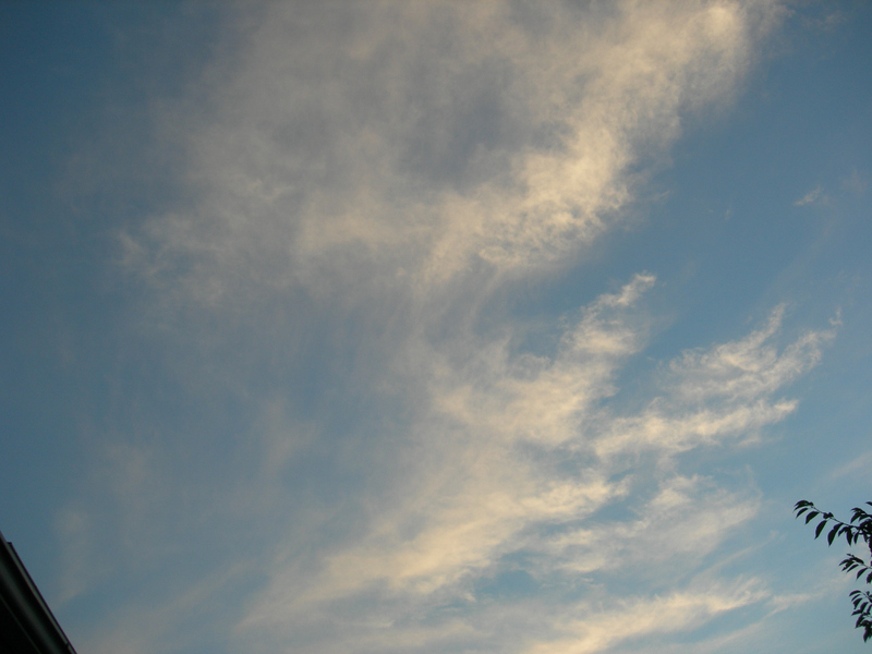 2005-08-22_19-43-070029