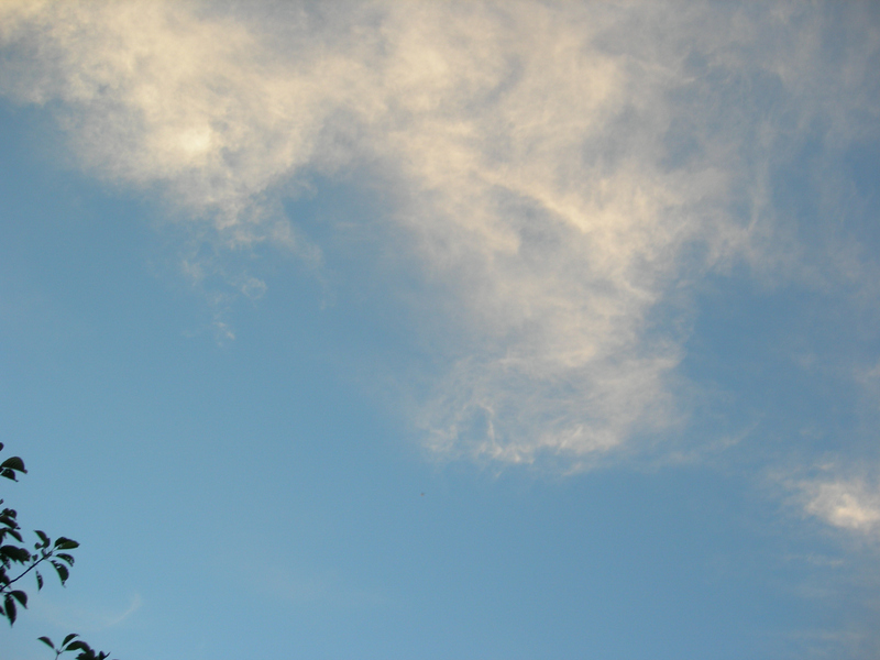 2005-08-22_19-44-380033