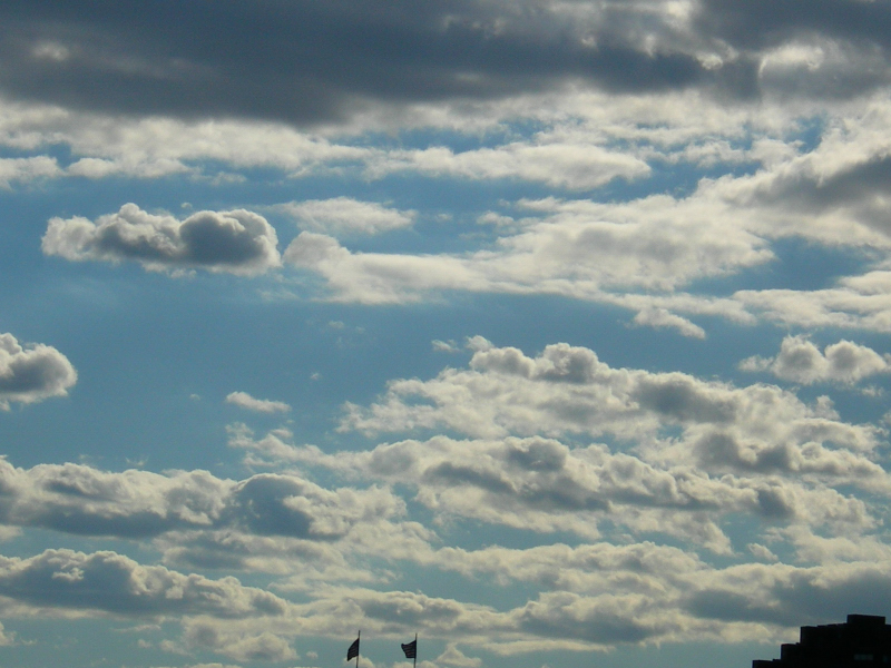 2005-08-24_17-25-530015