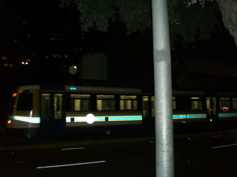 Family_2006006