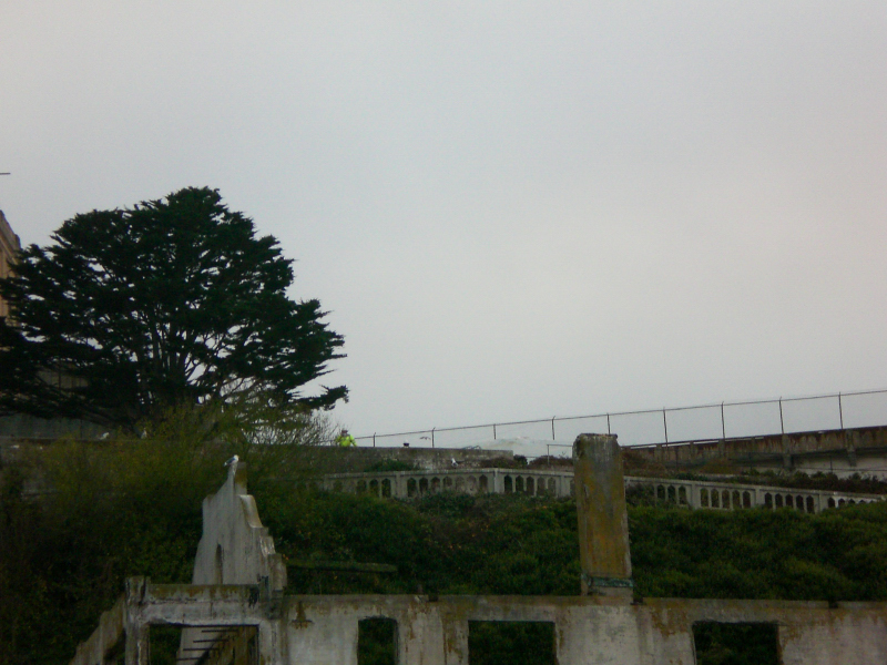 Family_2006079