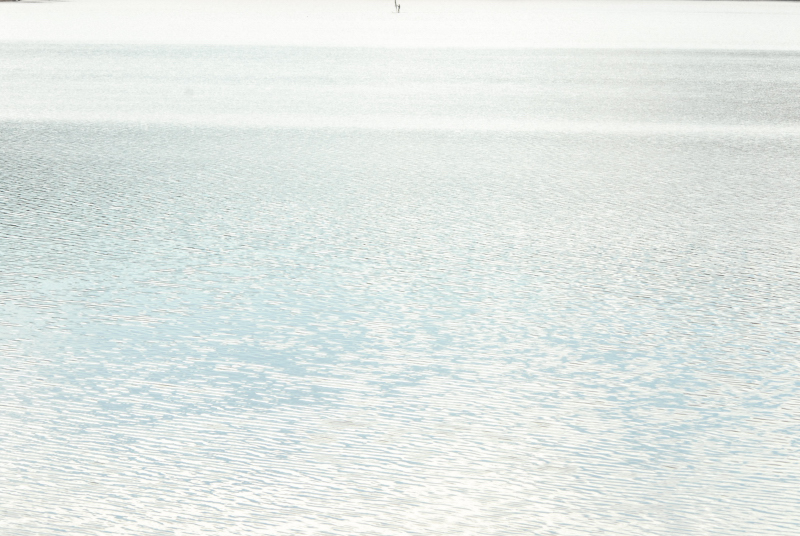 Landscape1_003
