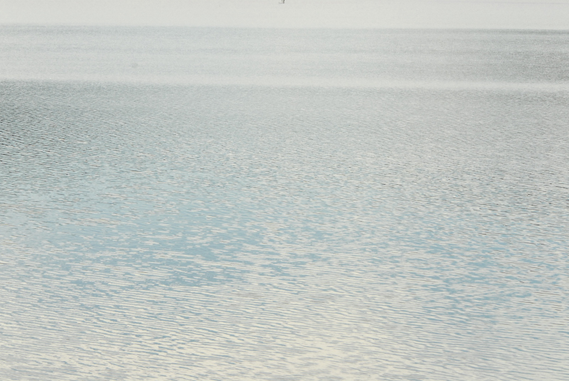 Landscape1_004