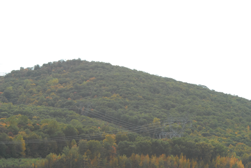 Landscape1_005