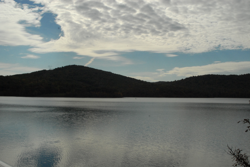Landscape1_009