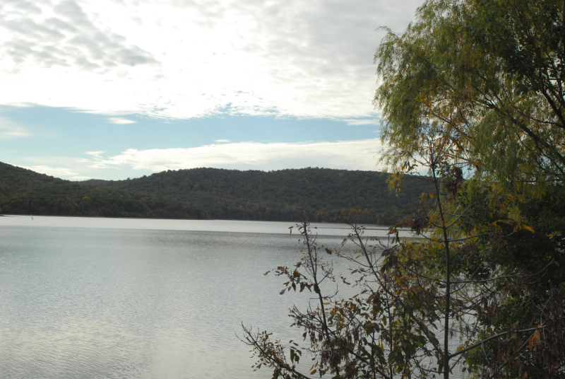 Landscape1_010