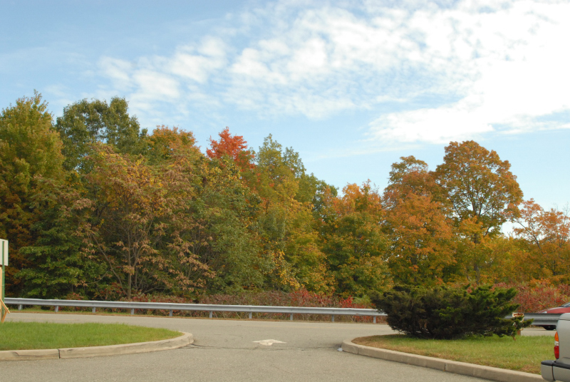 Landscape1_012