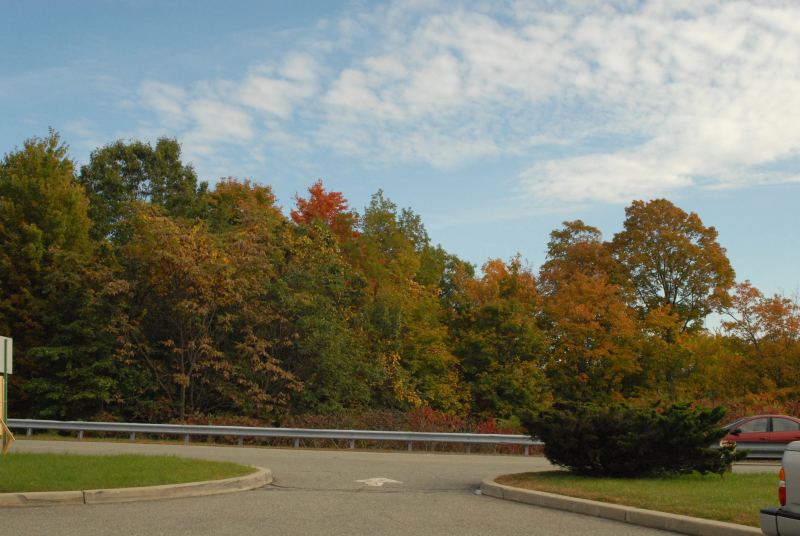 Landscape1_013