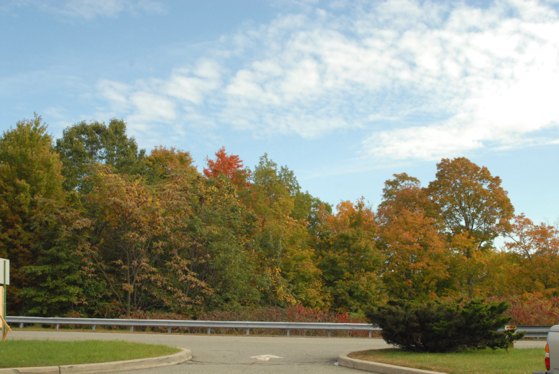 Landscape1_014