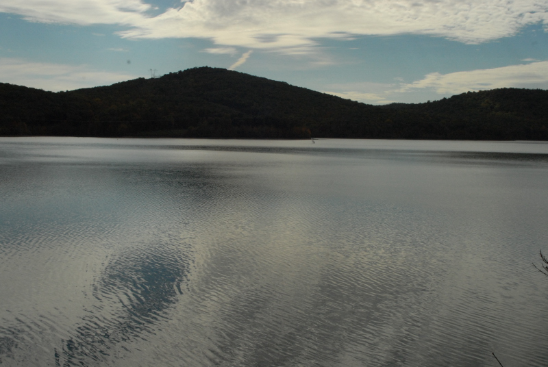 Landscape1_015