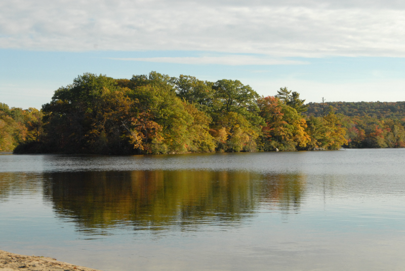 Landscape1_027