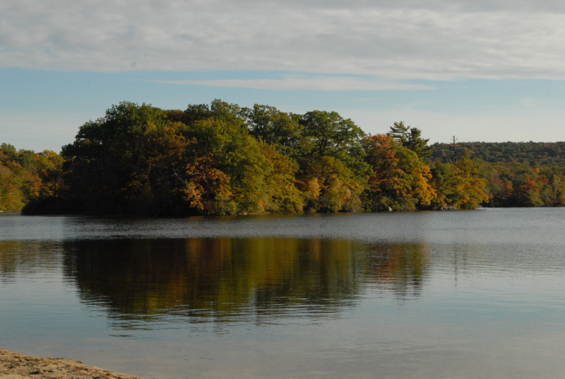 Landscape1_028
