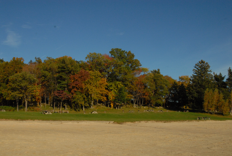 Landscape1_030