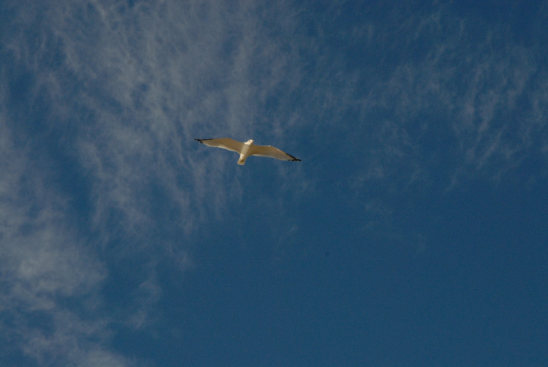 Landscape1_032