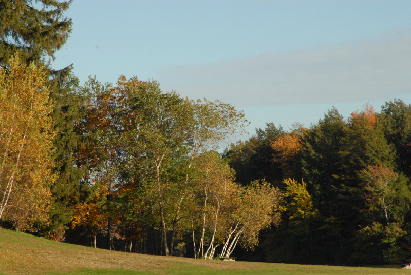 Landscape1_033