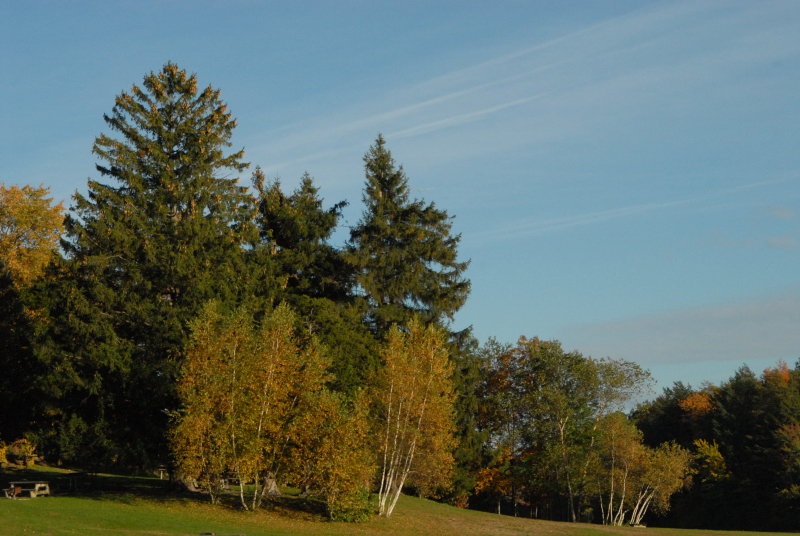 Landscape1_034