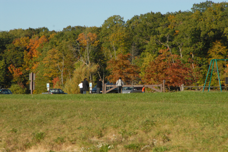 Landscape1_035