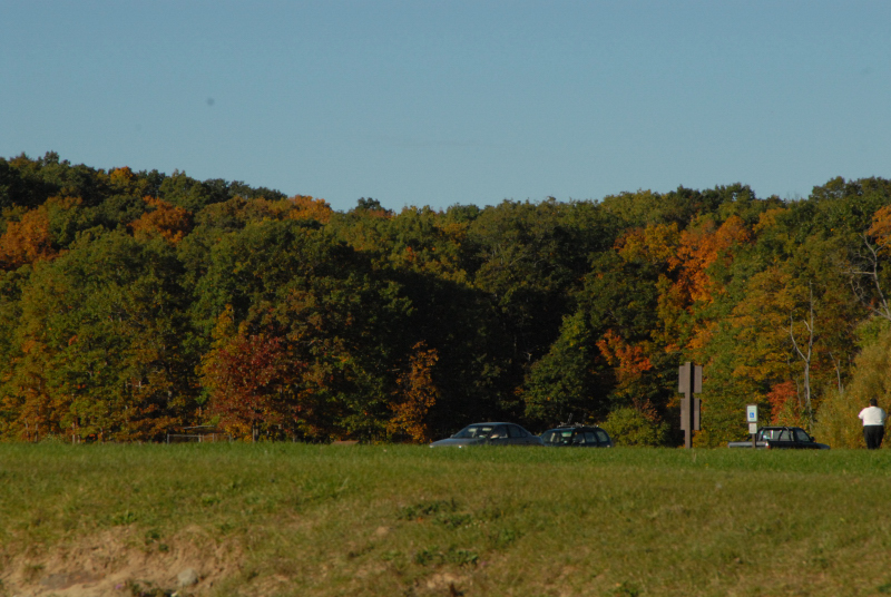 Landscape1_036