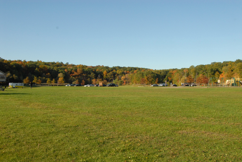 Landscape1_037